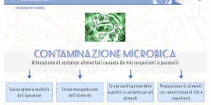 corso online haccp corso online haccp